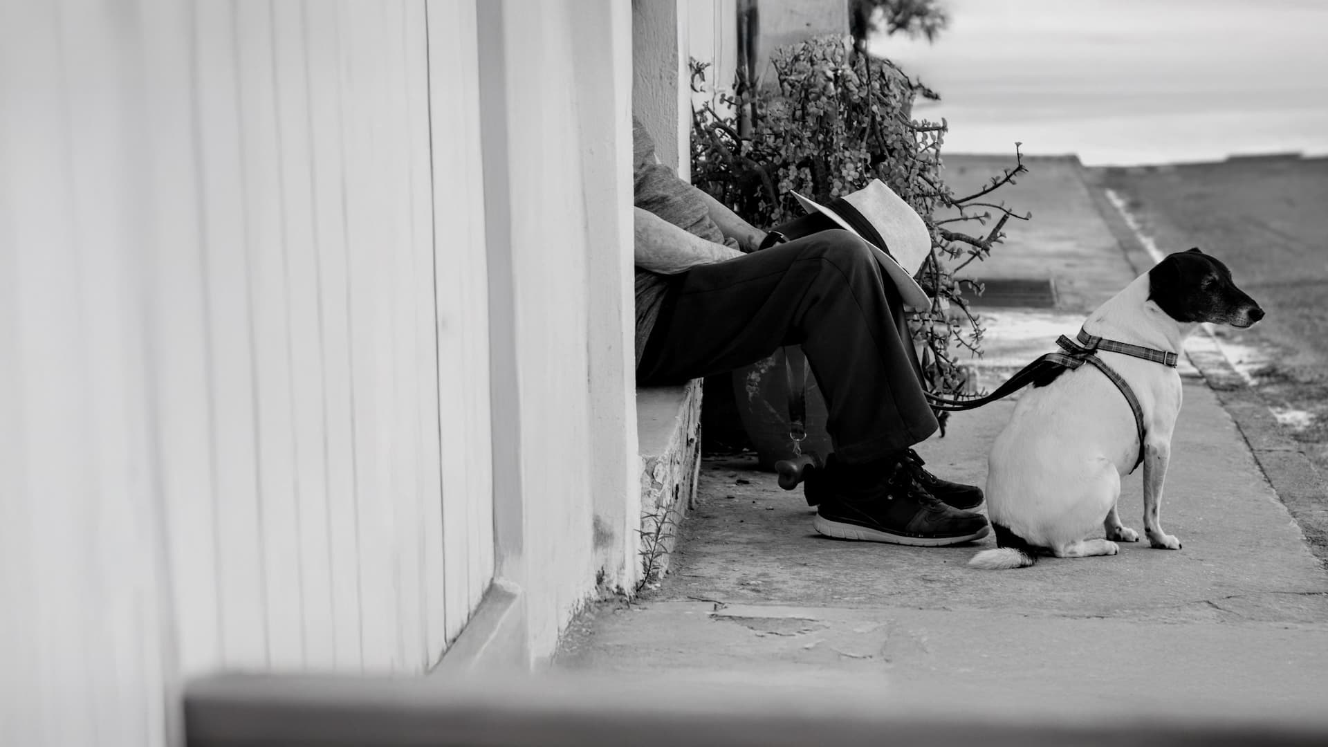 Behaviour change: How it can lead to long-term loyalty and even love